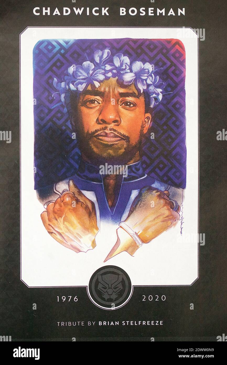 Marvel Comics Chadwick Boseman tribute art Stock Photo Alamy(09)