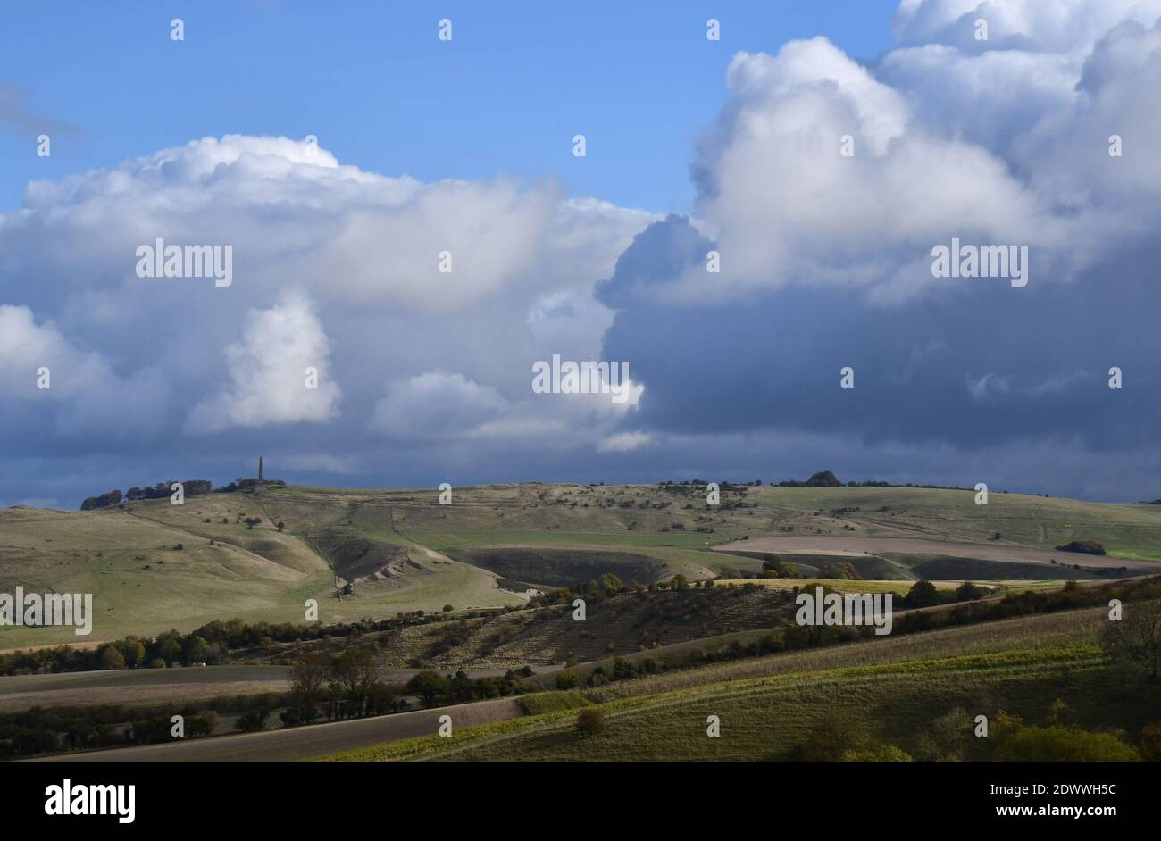 View from Morgans Hill towards the Lansdowne monument on Cherhill Down with sun dappled Calstone Down in the foreground,Wiltshire.UK Stock Photo