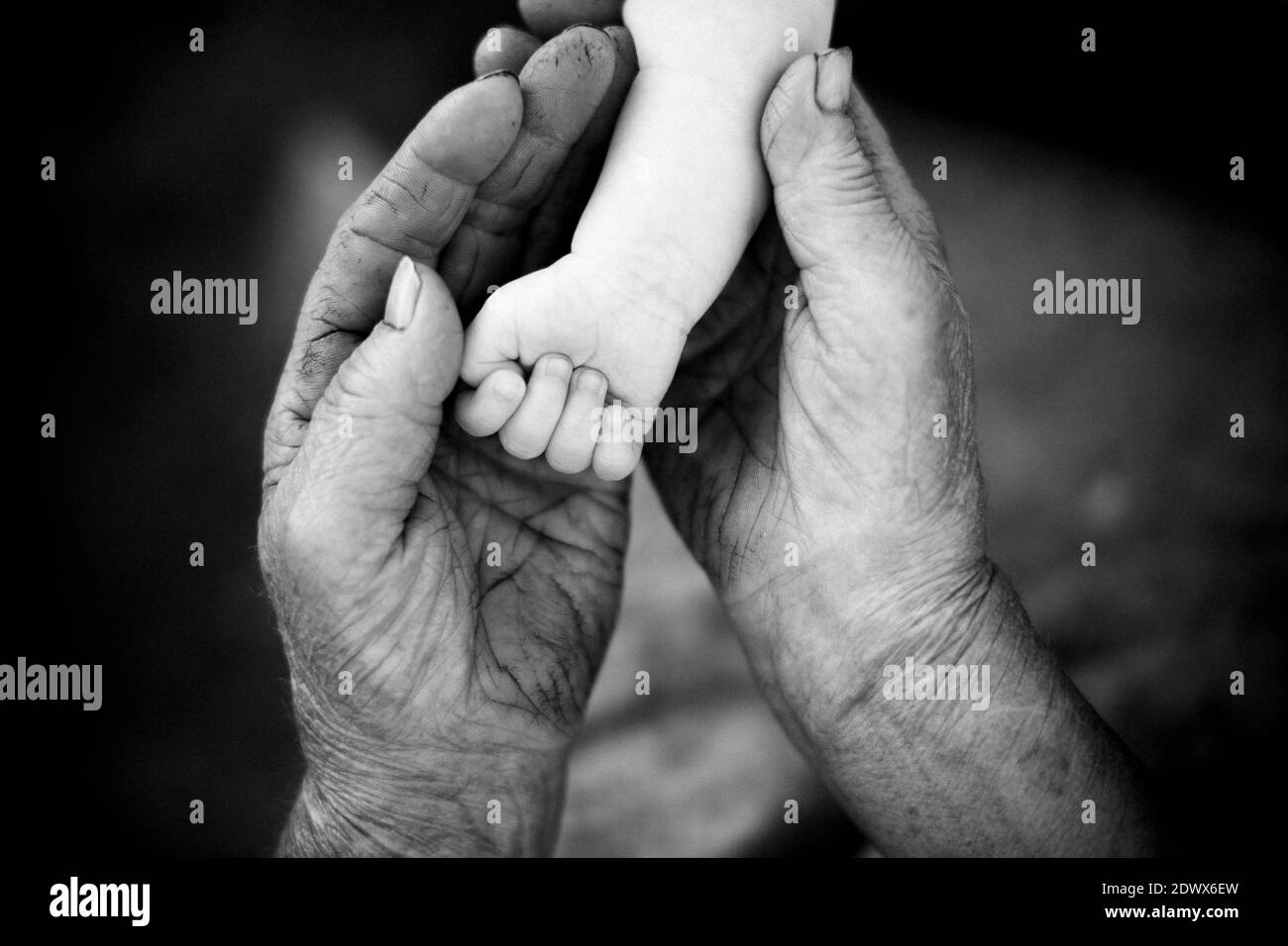 youth and old age. Hands of grandmother and granddaughter Stock Photo