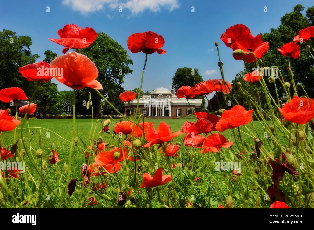 West Lawn & Garden at Monticello, Home of Thomas Jefferson