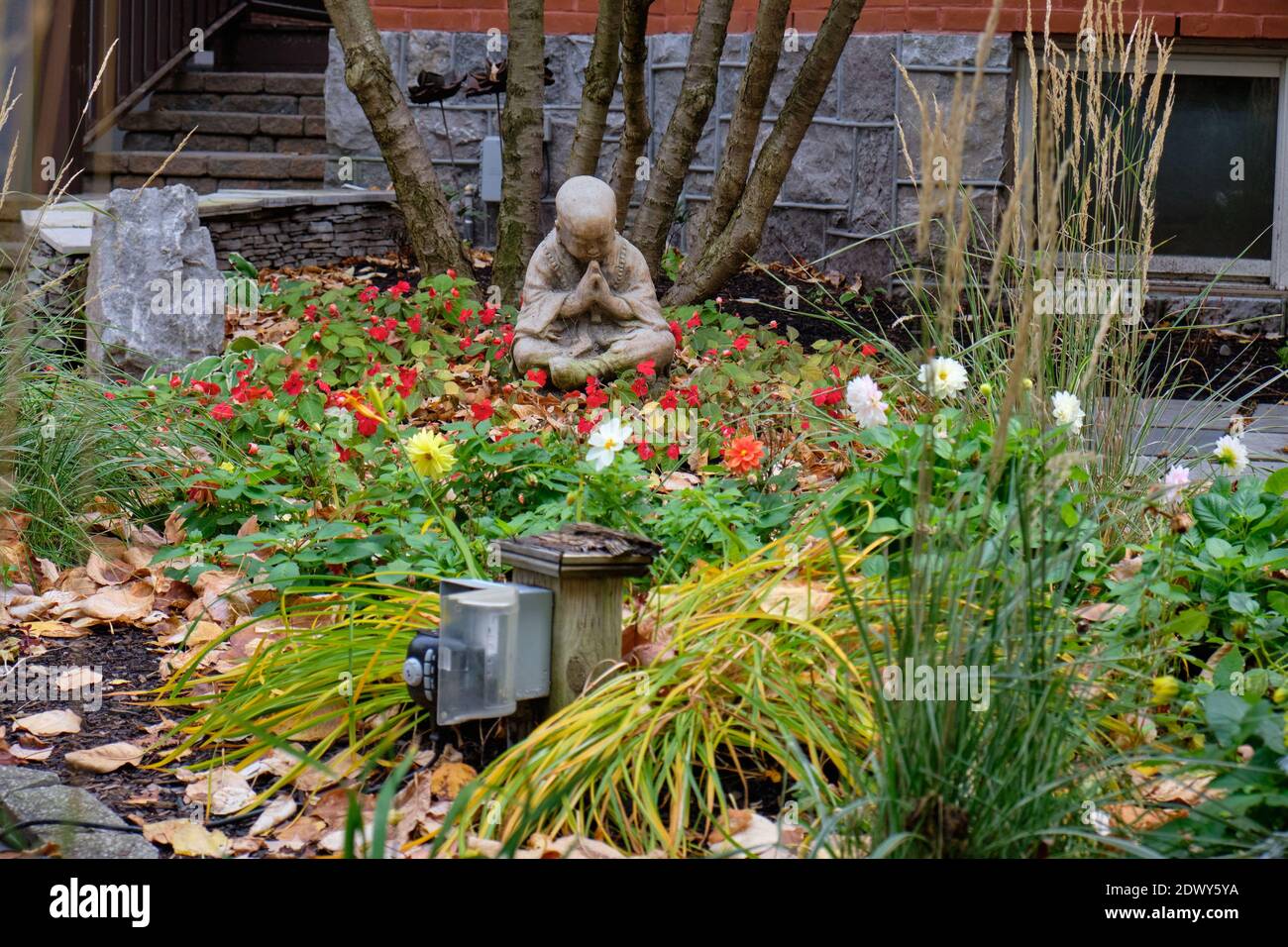 A Buddha statue in middle of front yard garden in residential ...
