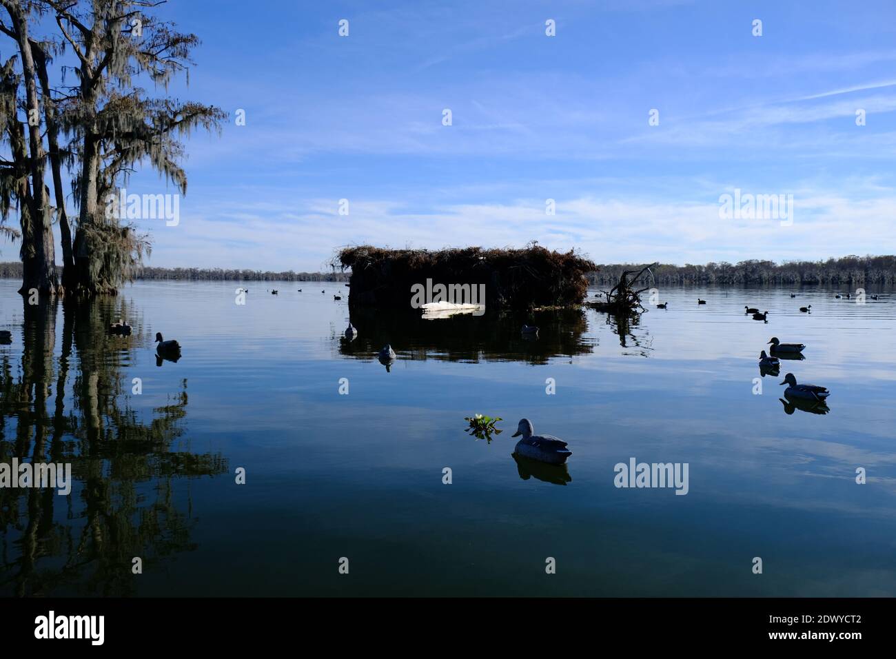 Duck Blind High Resolution Stock Photography And Images Alamy