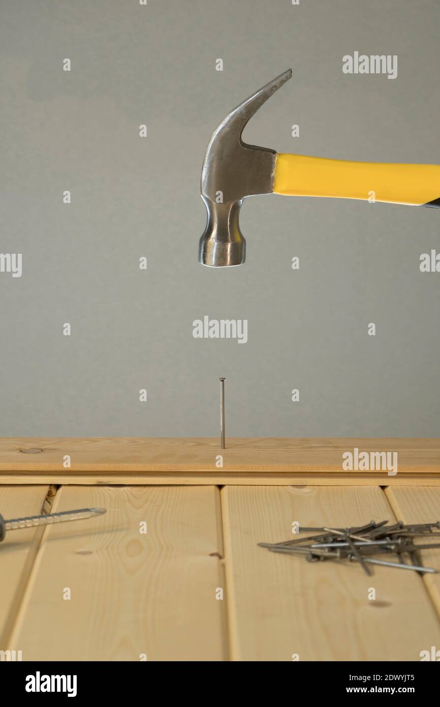 Hammer Hitting Nail On The Head. DIY. Carpenter hands with hammer wood