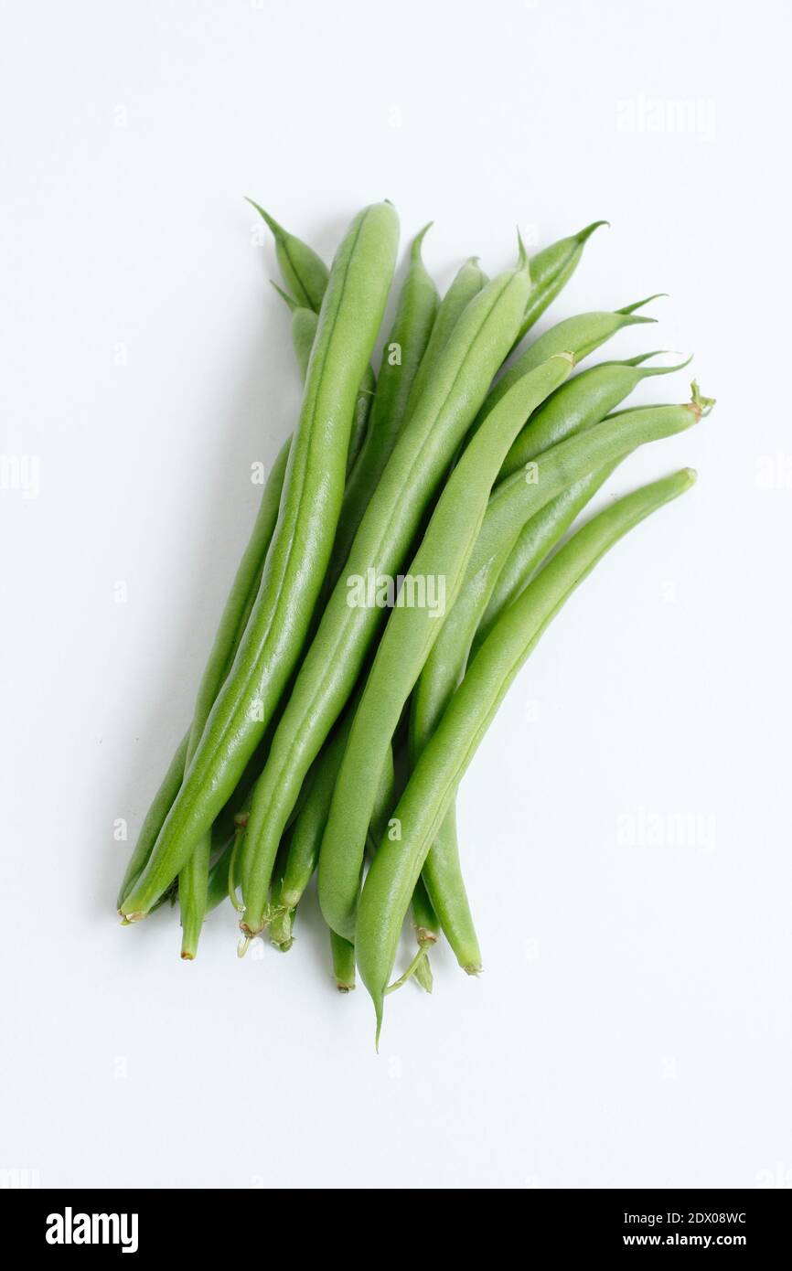 Phaseolus vulgaris 'Mamba' French climbing bean. Green beans isolated on a white background. UK Stock Photo