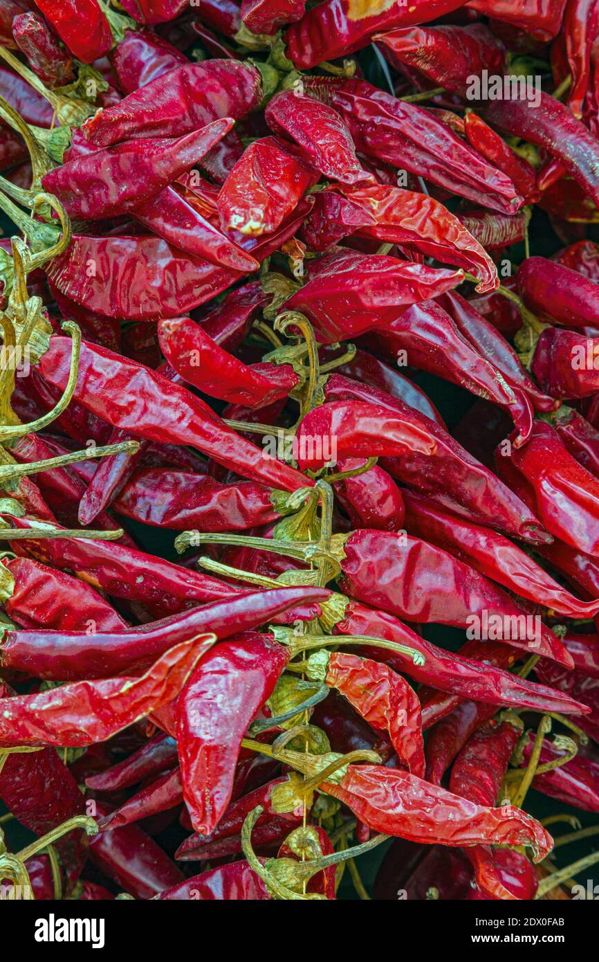 Capsicum annuum guinea spice hi-res stock photography and images - Alamy