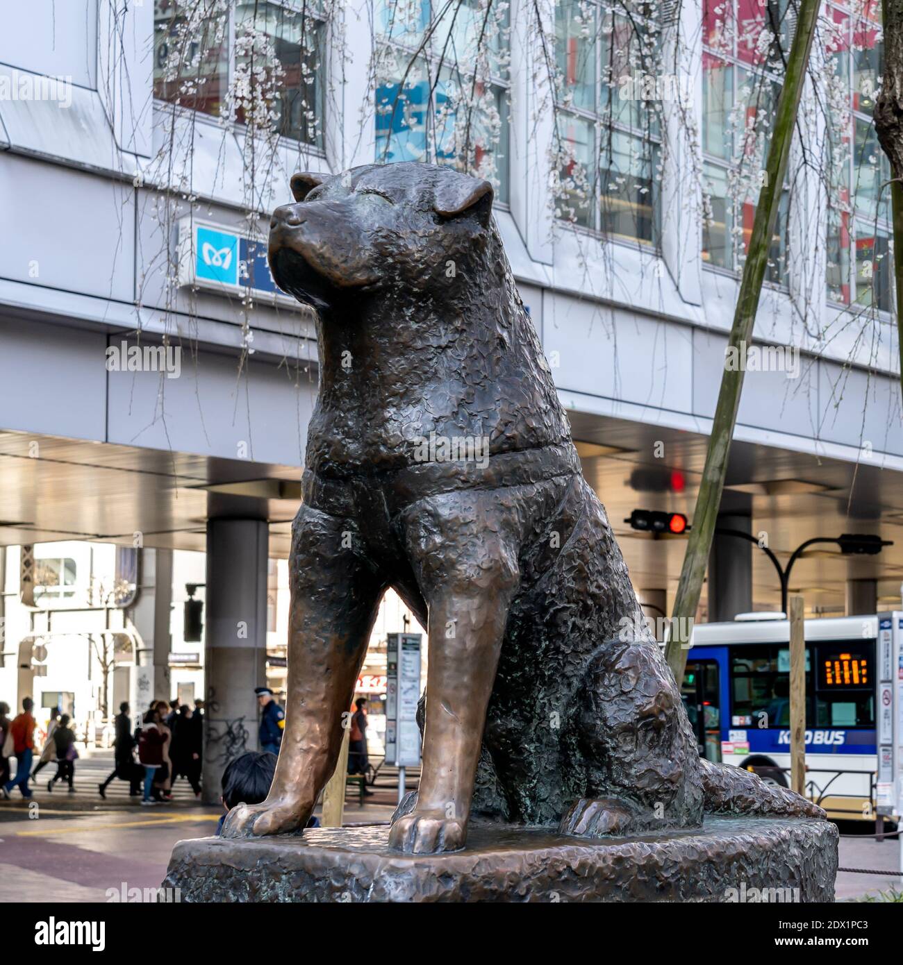 Shibuya station tokyo hi-res stock photography and images - Alamy