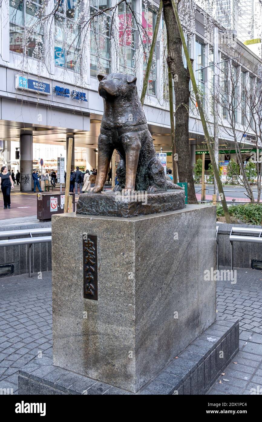 Shibuya station tokyo hi-res stock photography and images - Alamy