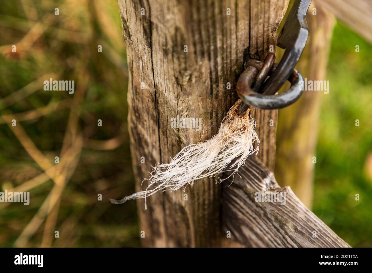 Wooden post rope fence on hi-res stock photography and images - Alamy