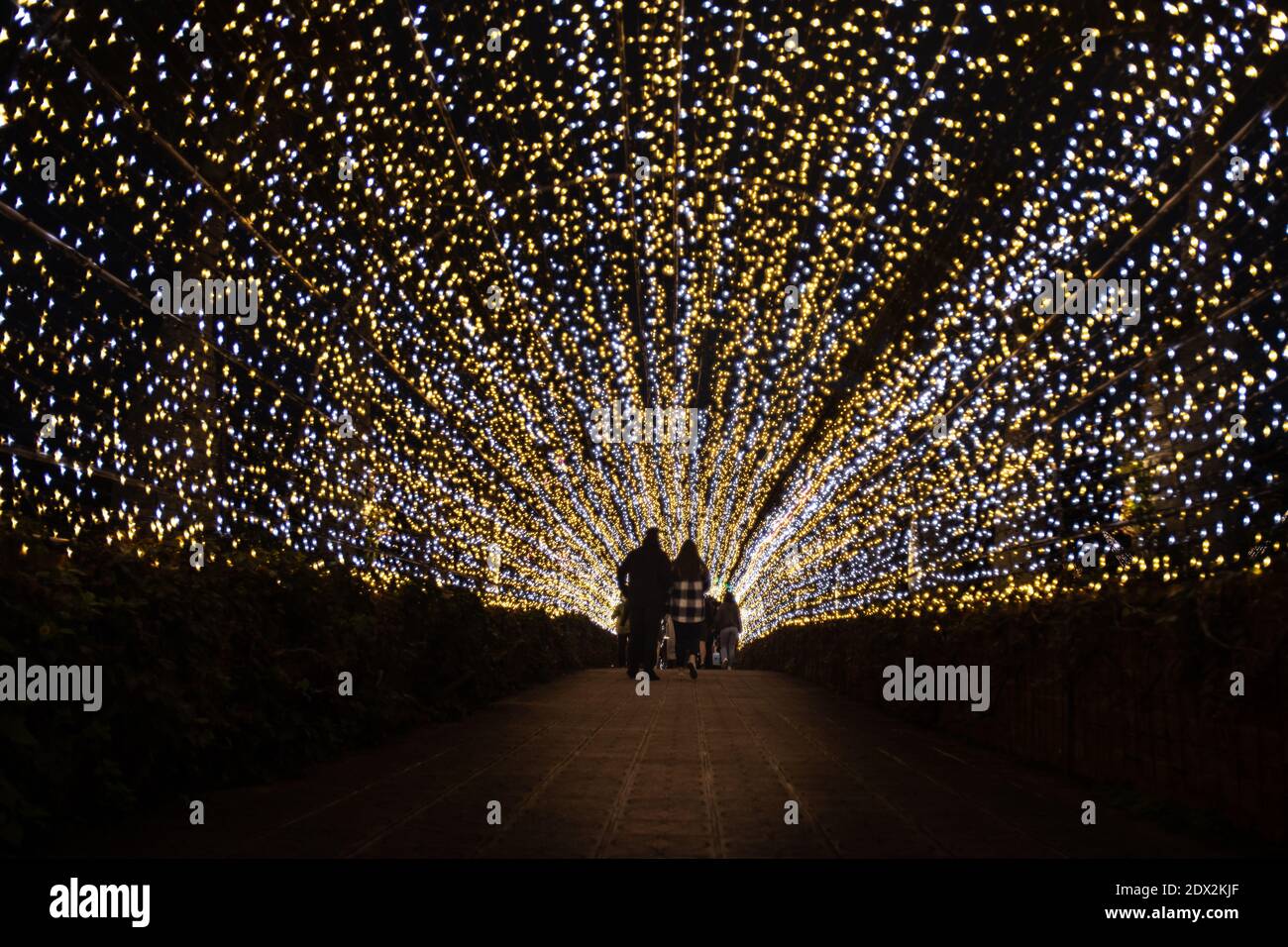 Chibana, Japan. 20th Dec, 2020. Guests silhouetted by holiday lights