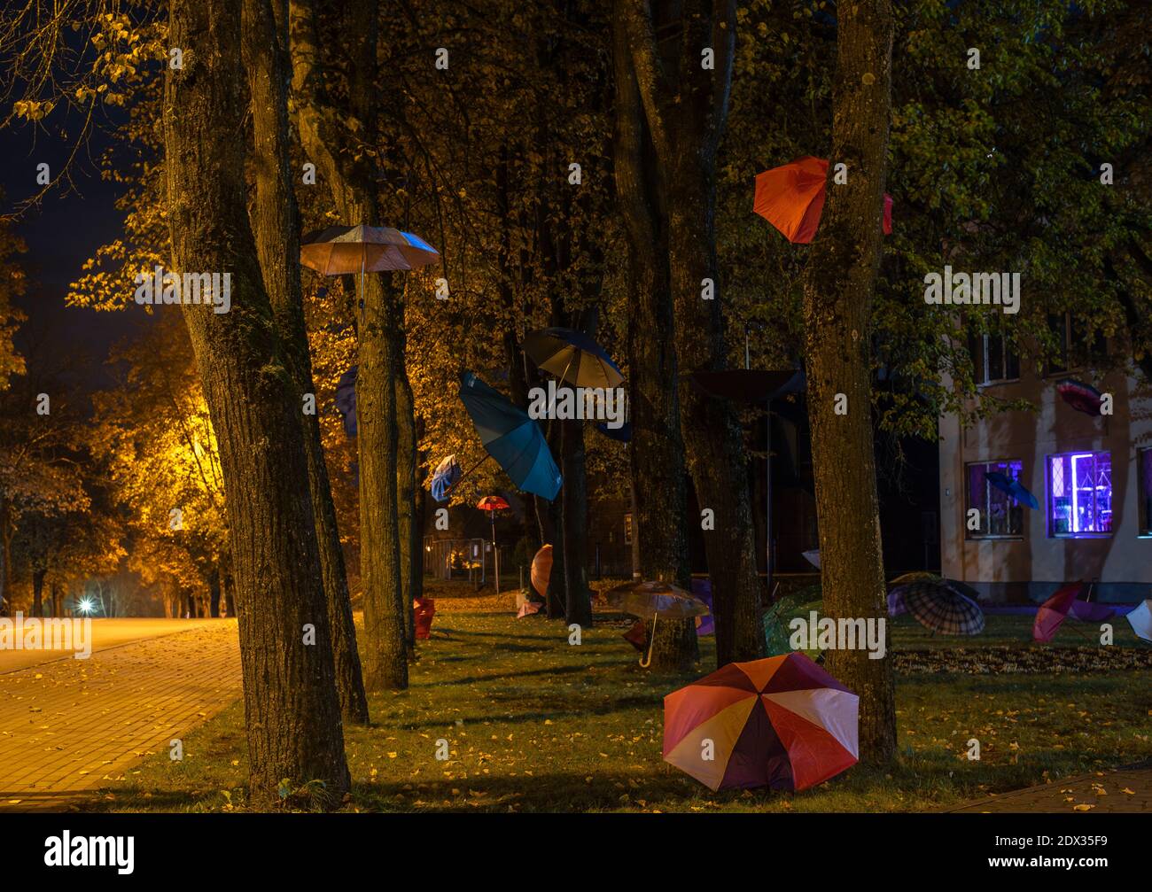 Umbrellas By Tree Trunk During Rainy Season Stock Photo Alamy