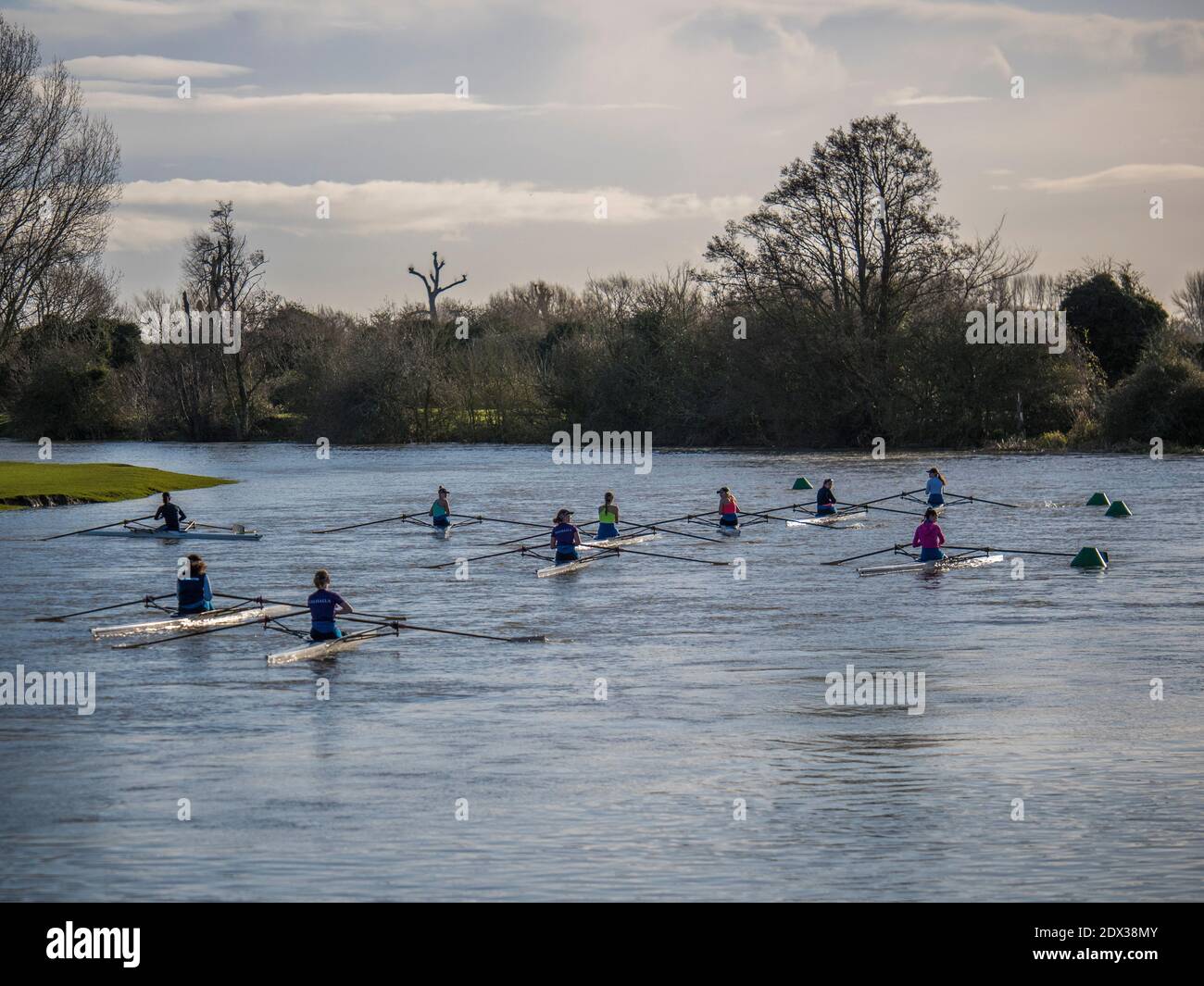 Team Rowing Thames Woman rowing hi-res stock photography and images - Alamy