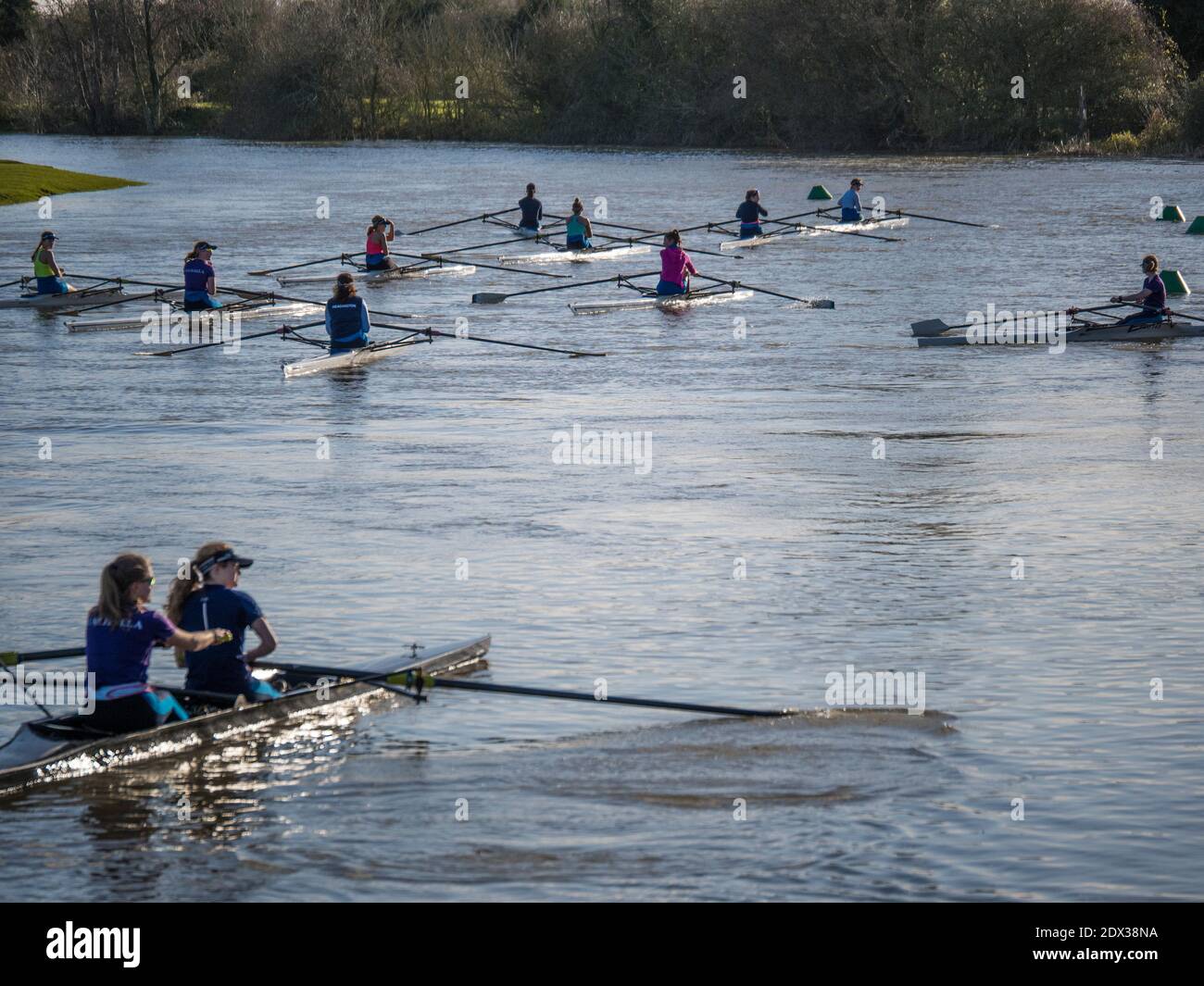 Woman Rowing Team, River Thames, Oxford, Oxfordshire, England, UK, GB
