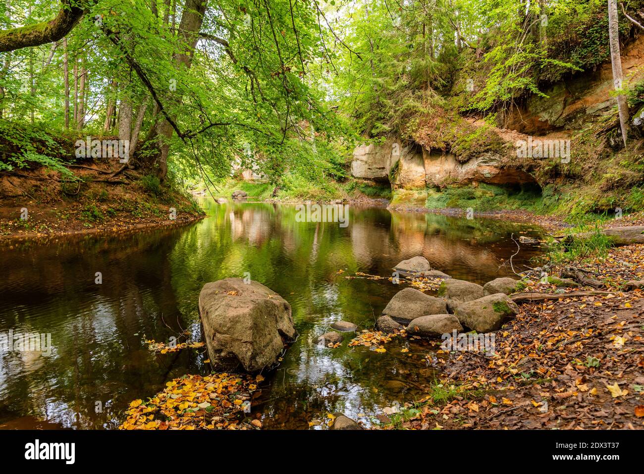 surrounded by forest, the steep bank of the river with the calm river water flowing past, in which the surrounding natural beauty can be seen as a ref Stock Photo