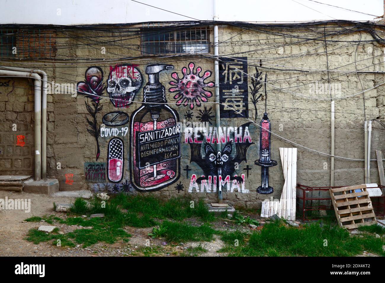 23rd December 2020, LA PAZ, BOLIVIA: Sarcastic covid 19 coronavirus street art on a wall in La Paz.  The bottle of hand sanitizer is to prevent fear, panic and disinformation, a reference to the amount of sensational articles about the virus in the news and on social media. Next to it is a bat with the slogan Revancha Animal / Animal Revenge, a reference to the damage being done to the environment, especially deforestation Stock Photo