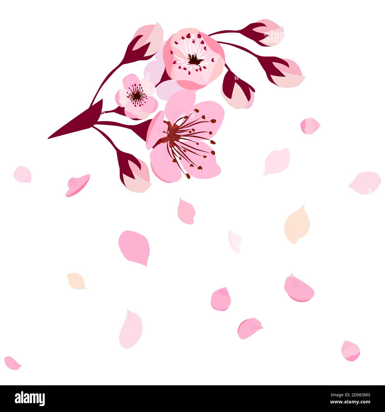 A branch of sakura with falling petals. Vector illustration Stock ...