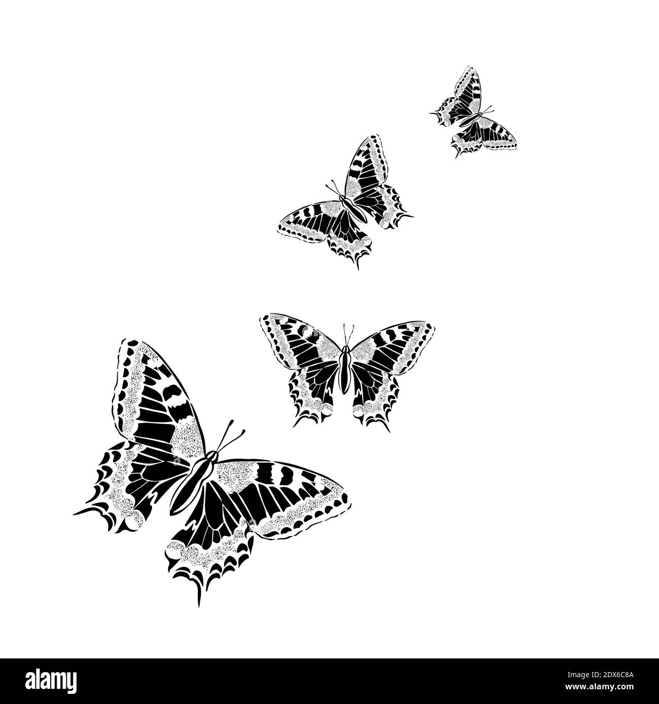 Graphic flying black and white butterflies. Vector illustration. Tropical  butterfly on a white background Stock Vector Image & Art - Alamy