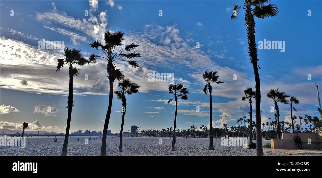 Palm Trees On Beach Against Sky Stock Photo