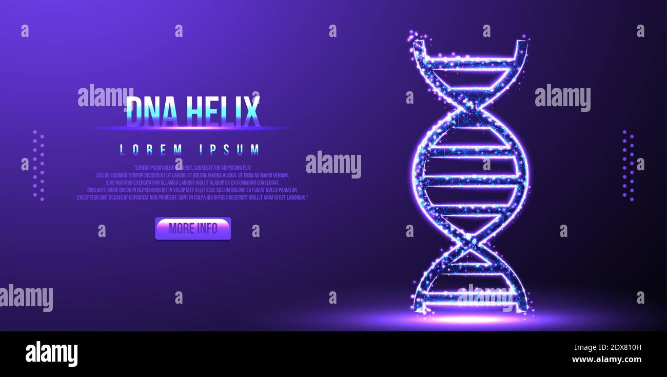 dna, helix molecule, low poly wireframe, vector illustration Stock Vector