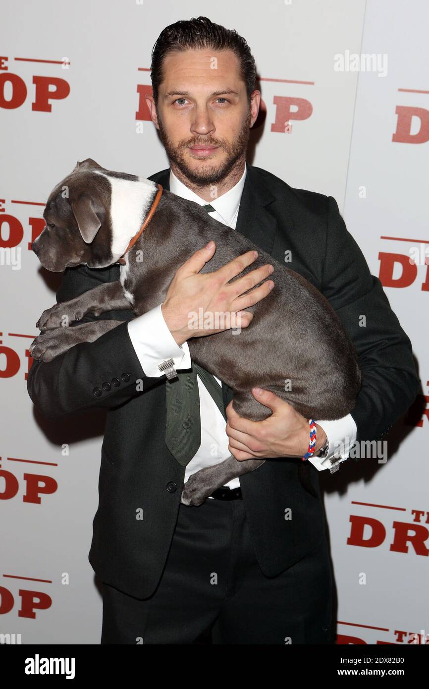Tom Hardy holds dog Rocco from the film as he arrives to the premiere of The  Drop at The Sunshine Theater in New York City, NY, USA on September 8th,  2014. Photo