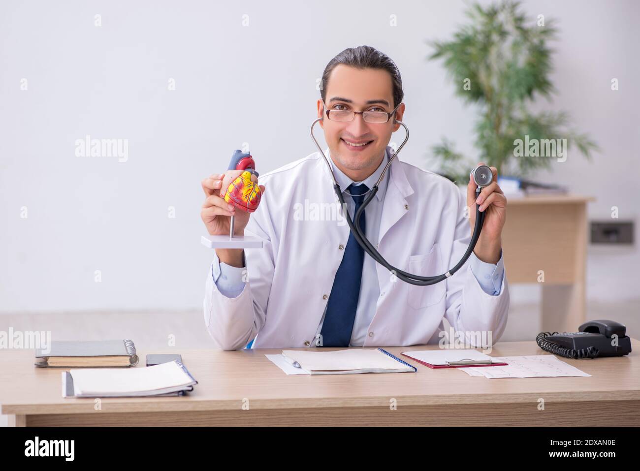 Young doctor cardiologist listening heart model with stethoscope Stock ...