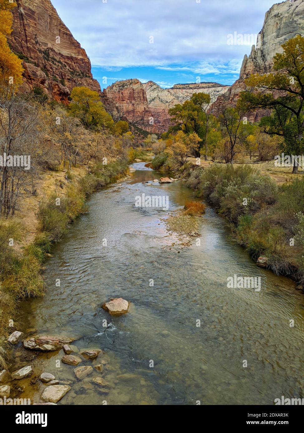 Zion scenery hi-res stock photography and images - Alamy