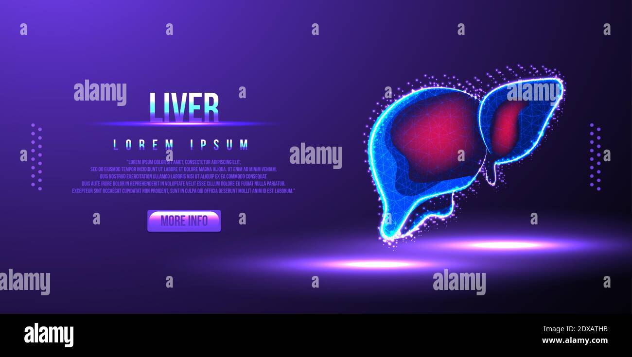 human liver low poly wireframe vector illustration Stock Vector