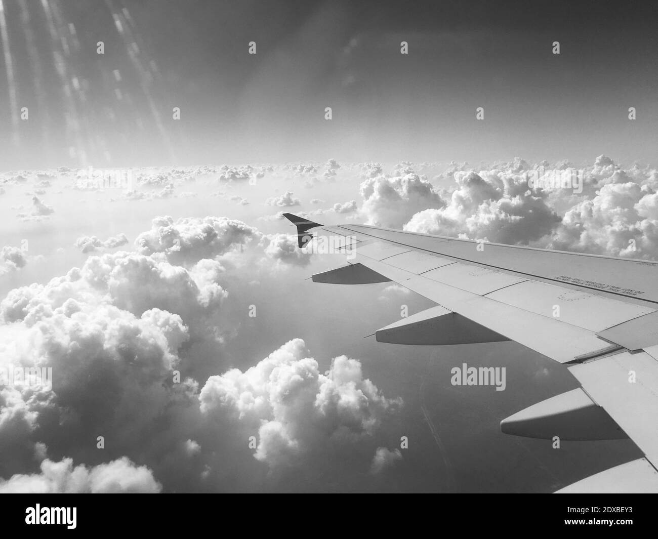 Flying Aircraft Wing Black And White Stock Photos & Images - Alamy