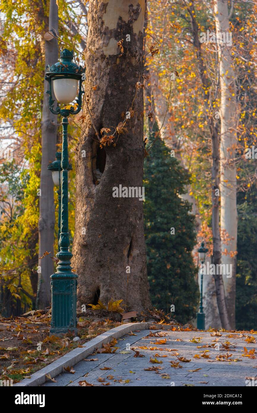 Tehran forest hi-res stock photography and images - Alamy