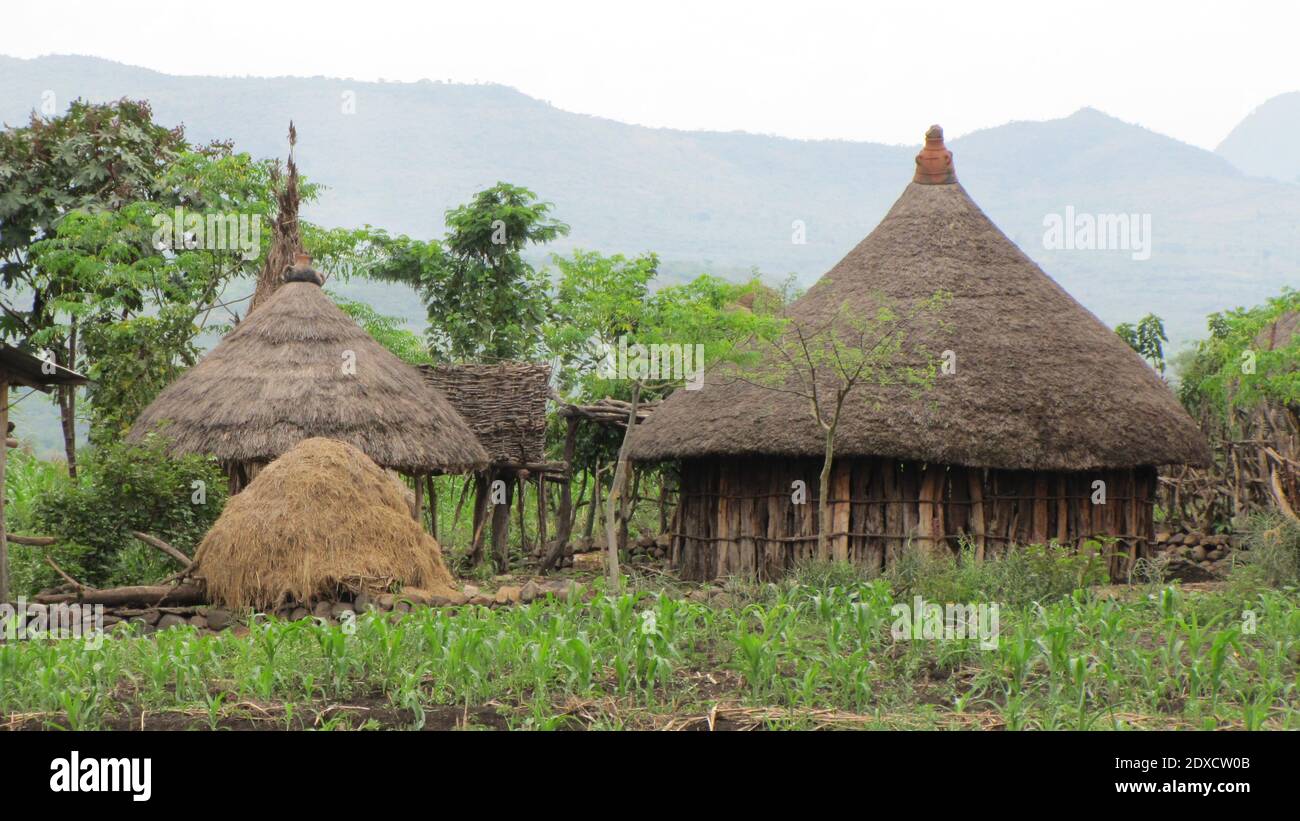 Reed thatched huts hi-res stock photography and images - Alamy