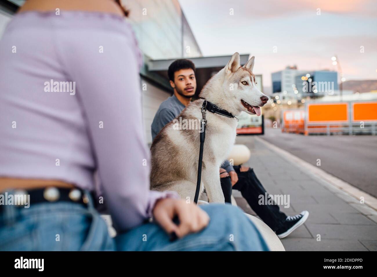 Siberian husky dog sitting by man and woman on footpath Stock Photo - Alamy