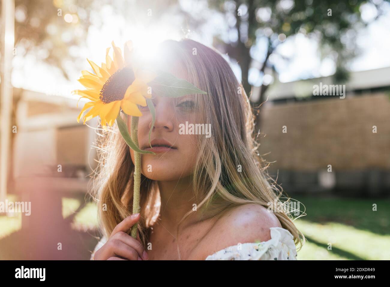 Young woman covering face with sunflower at backyard Stock Photo