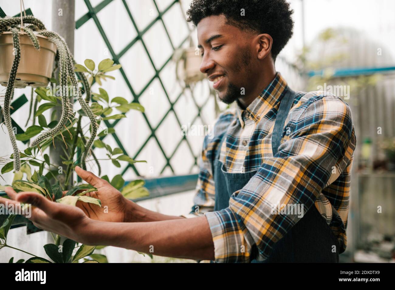 Smiling male botanist examining plant leaves at garden center Stock Photo
