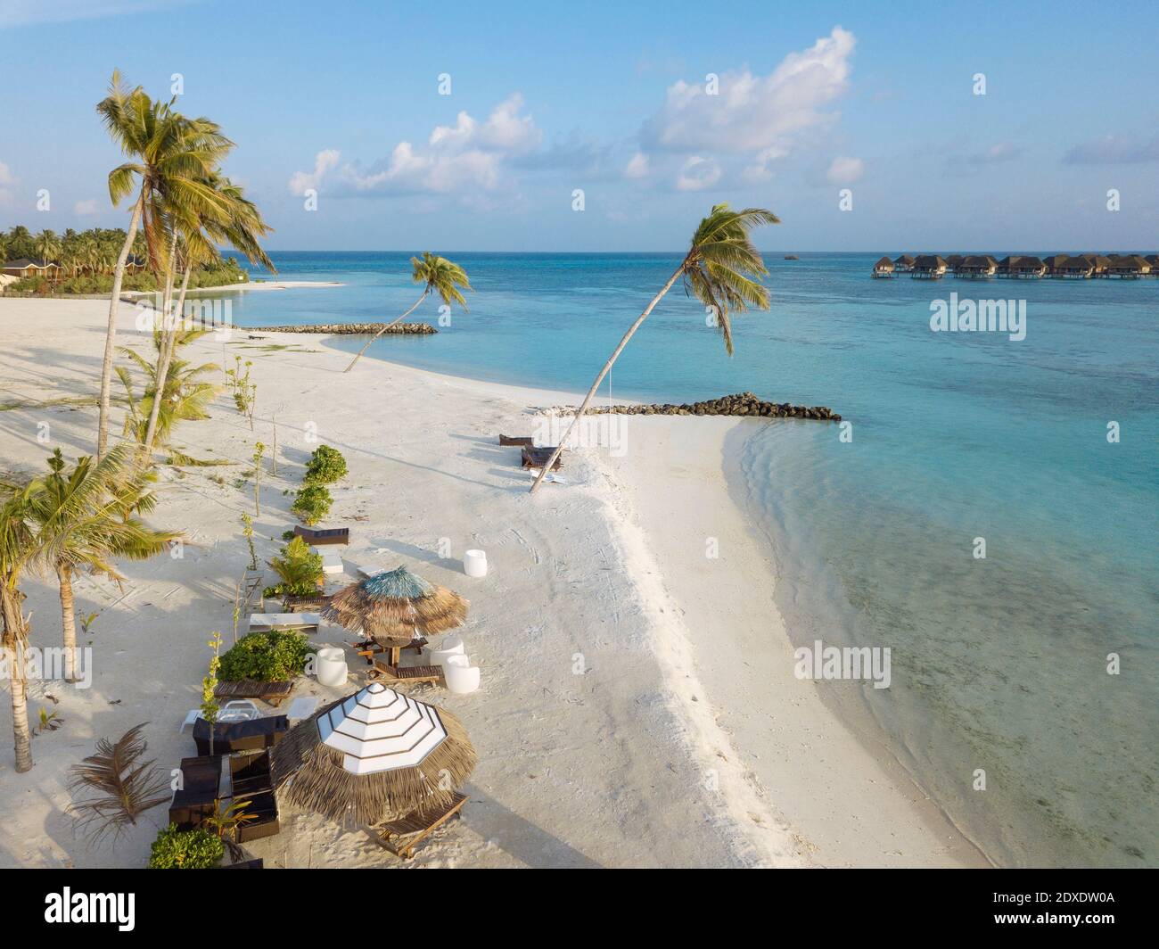 Aerial sand beach palm trees hi-res stock photography and images - Alamy