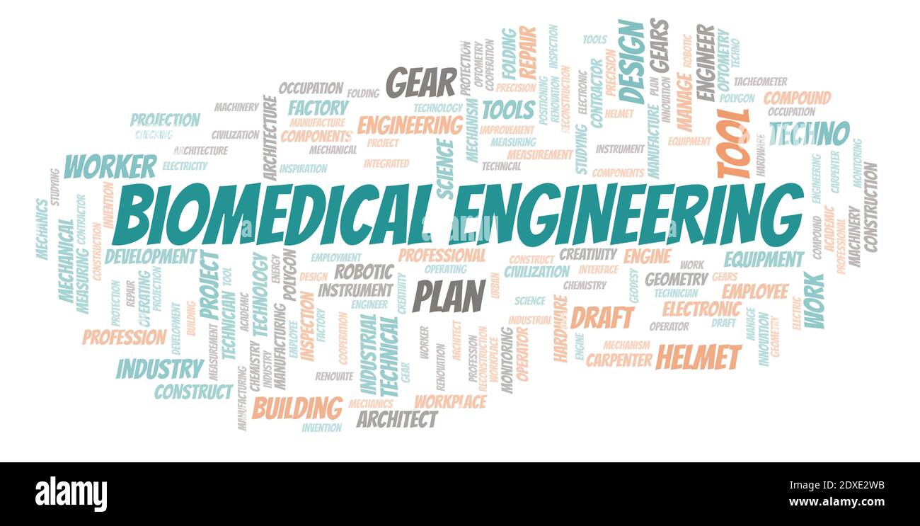 Biomedical Engineering typography word cloud create with text only ...
