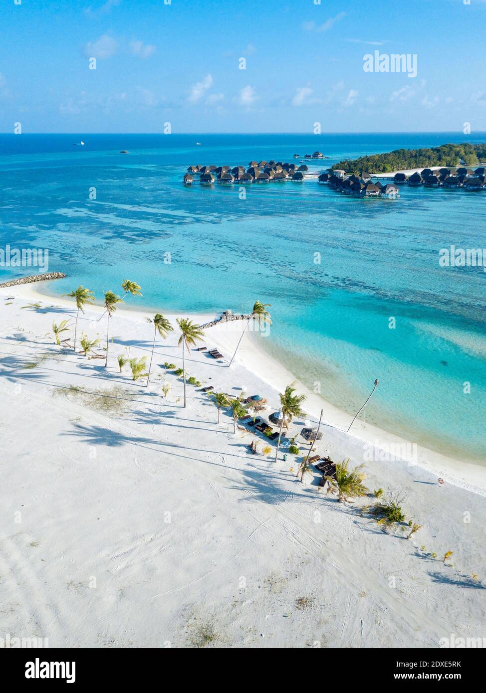 Aerial beach with palm trees hi-res stock photography and images - Alamy