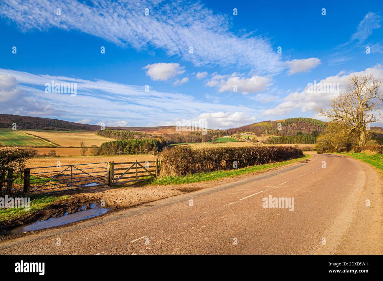 Empty country road in rural landscape on sunny day Stock Photo