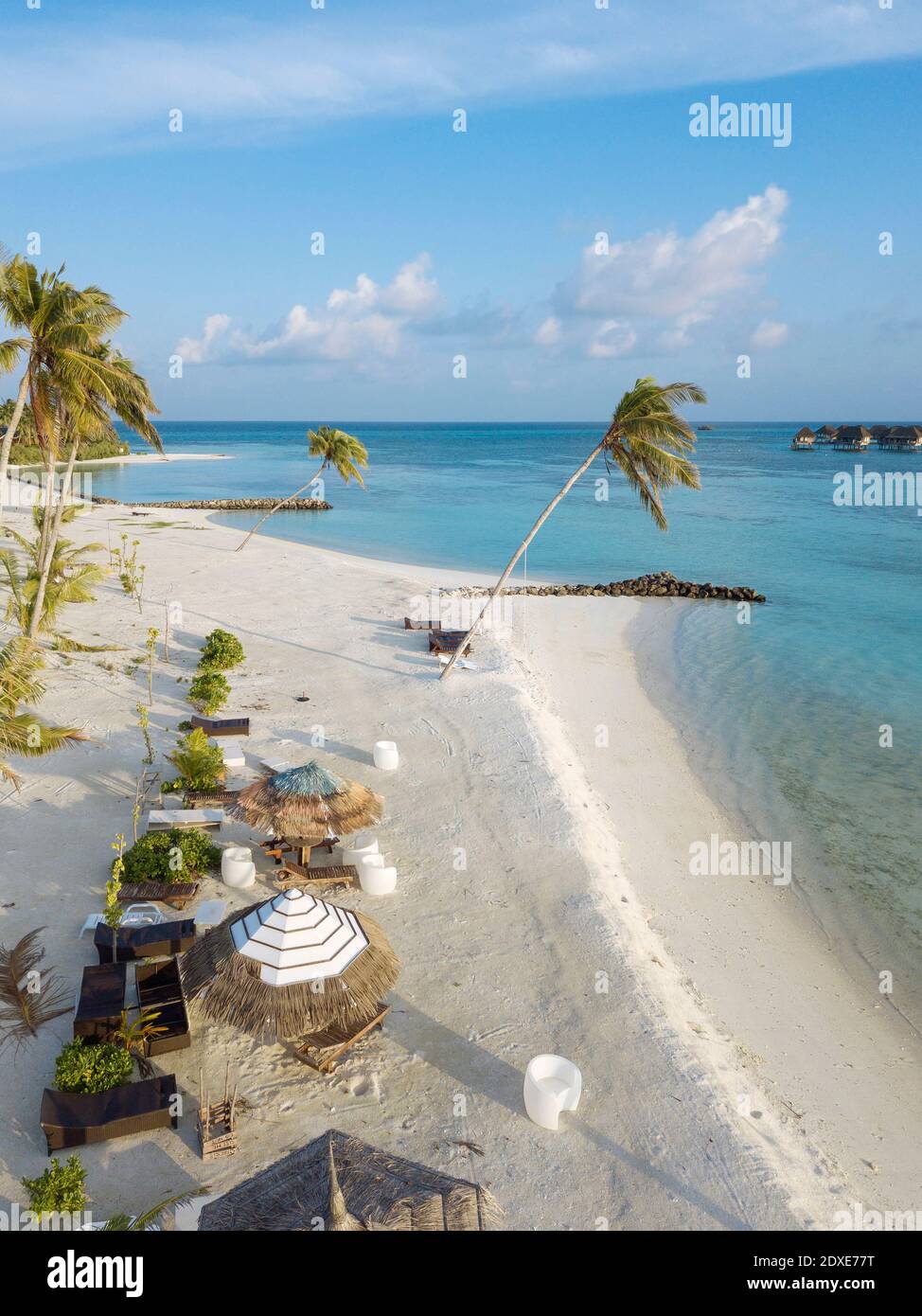 Aerial beach with palm trees hi-res stock photography and images - Alamy