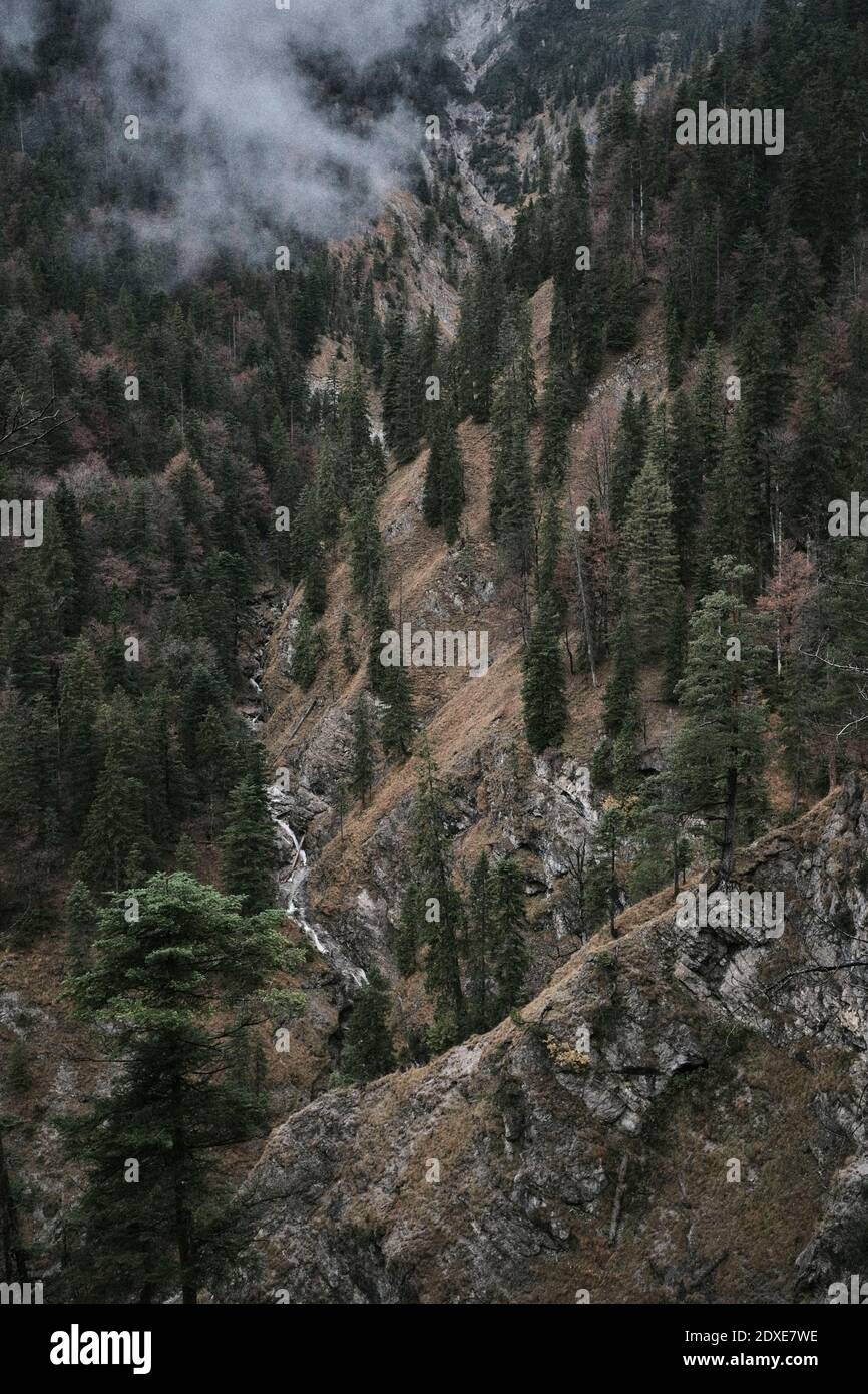 Forested mountain ridge Stock Photo - Alamy