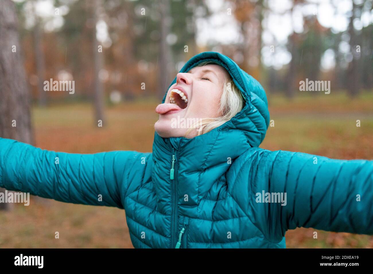 Cheerful woman sticking out tongue while getting wet in rain at Cannock Chase Stock Photo