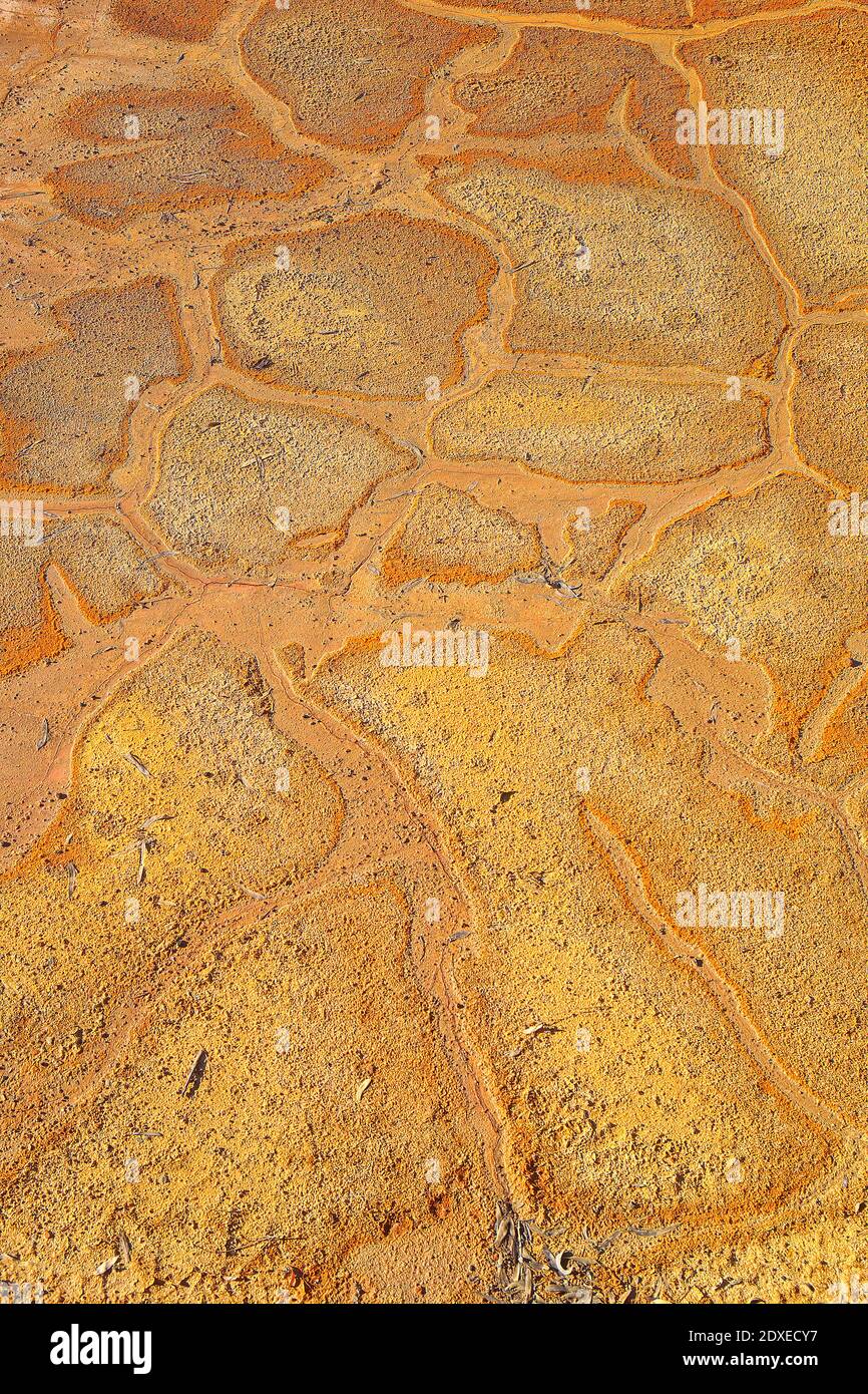 Dried cracked riverbed Stock Photo