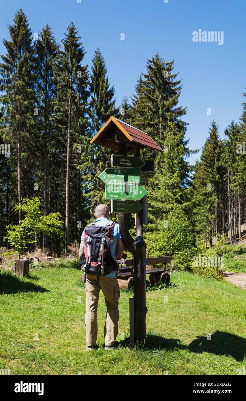Senior backpacker checking signpost in Thuringian Forest Stock Photo