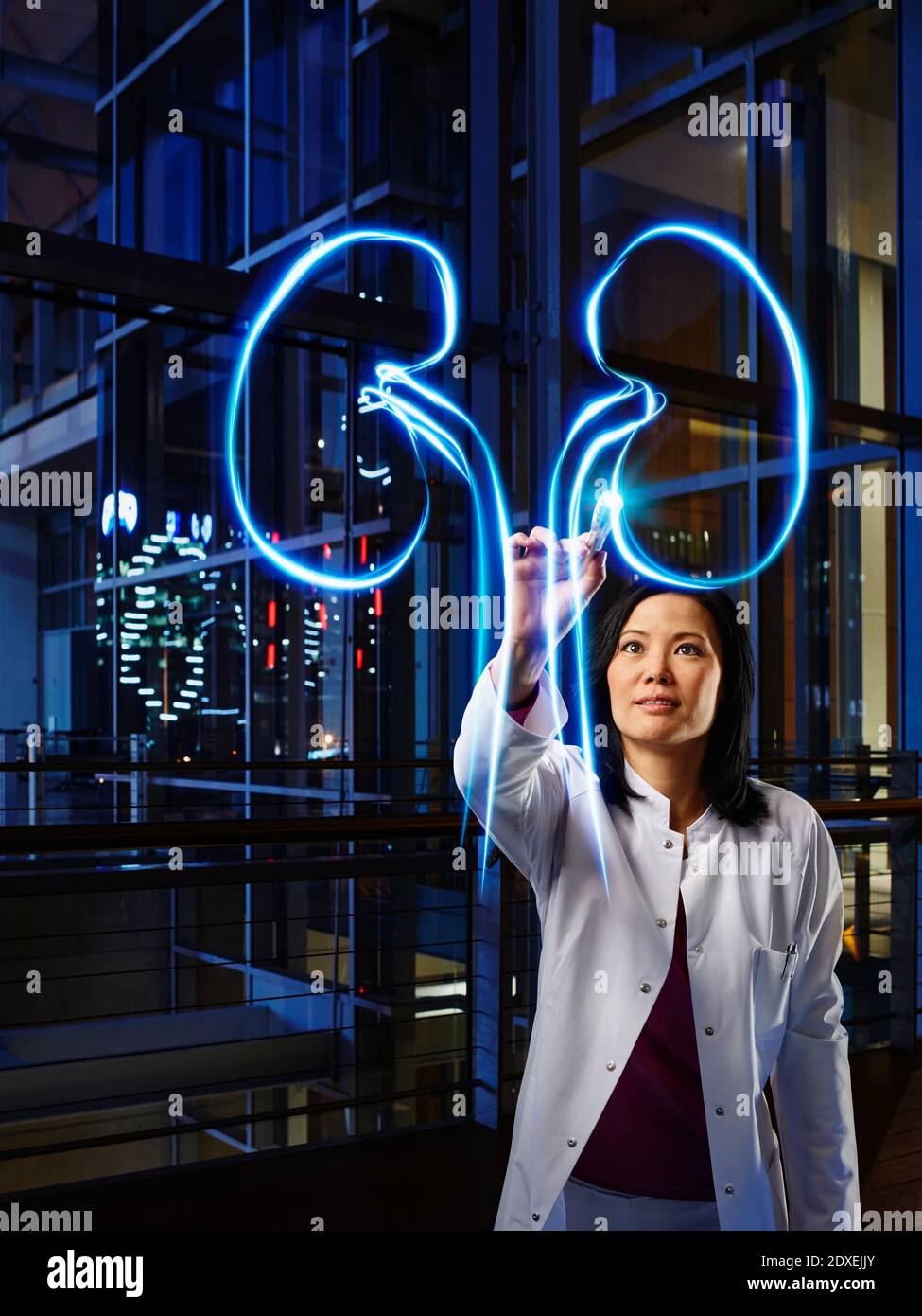 Mature female nephrologist light painting kidney in laboratory at hospital Stock Photo