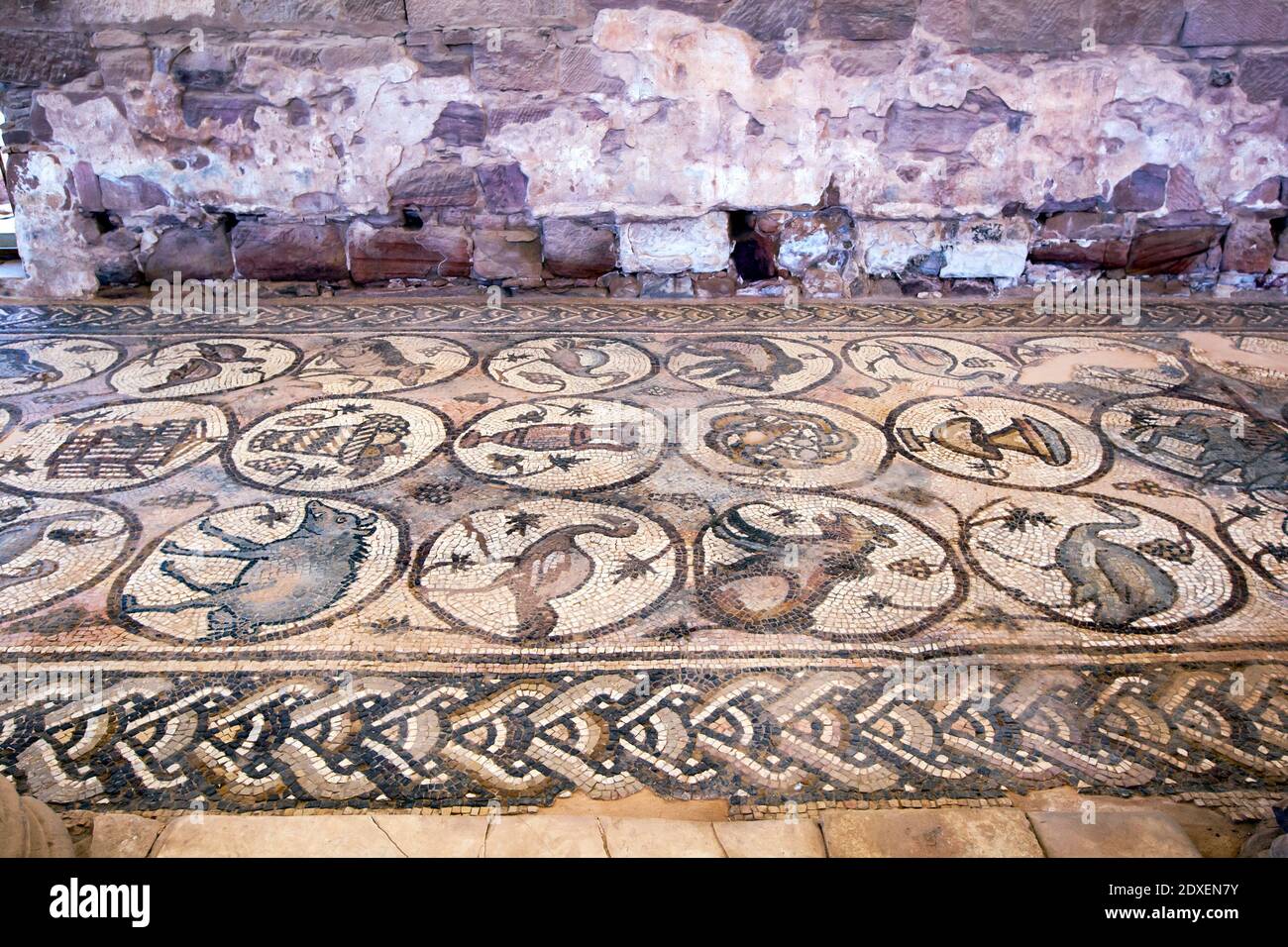 The North Aisle of the Petra Church displaying mosaics dating to 5th century AD. There are 84 medallions in three rows surrounded by Guilloche border. Stock Photo