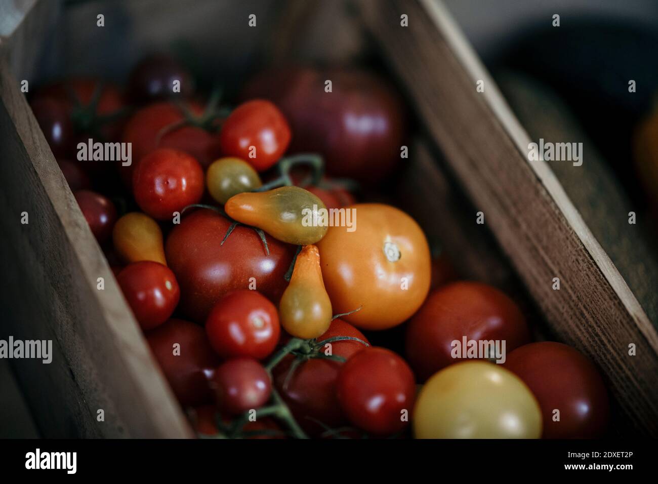 Fresh and organic tomato in basket Stock Photo - Alamy