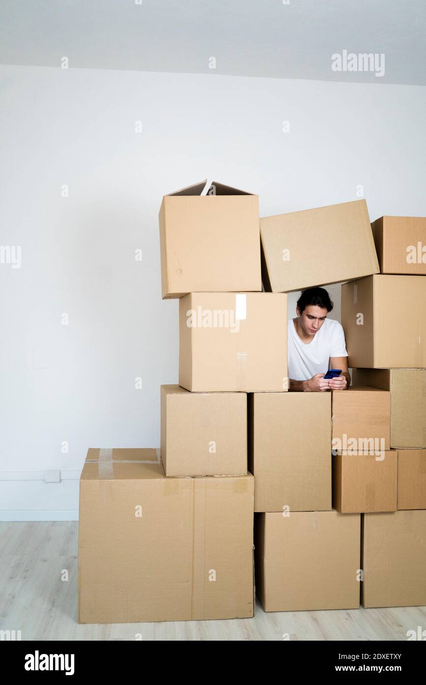 Young man using smart phone while leaning on boxes in new house Stock Photo