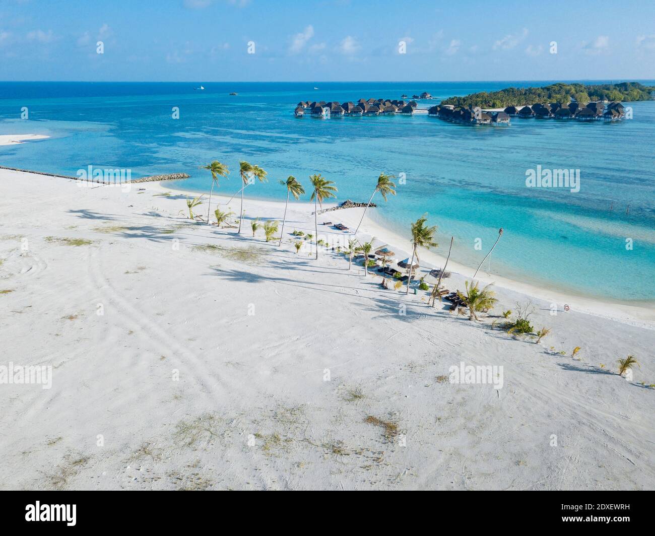 Aerial beach with palm trees hi-res stock photography and images - Alamy