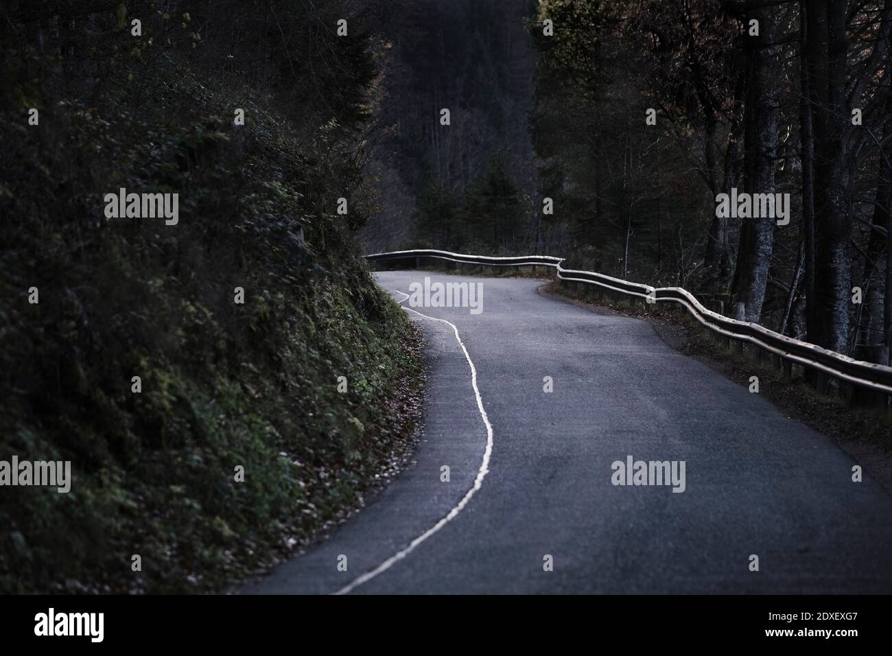 Empty asphalt road in forest Stock Photo - Alamy
