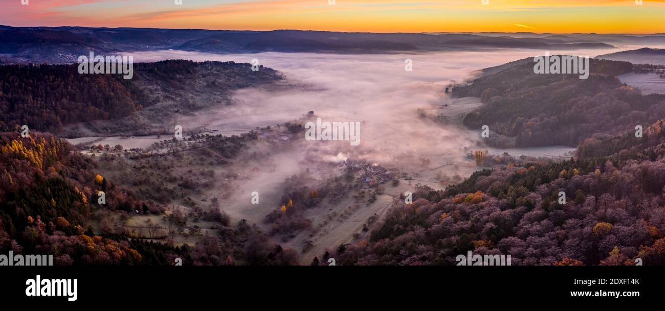 Drone view of autumn forest shrouded in morning fog Stock Photo - Alamy