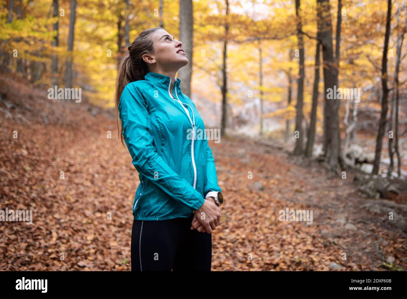 Sportswoman looking up while standing in forest Stock Photo