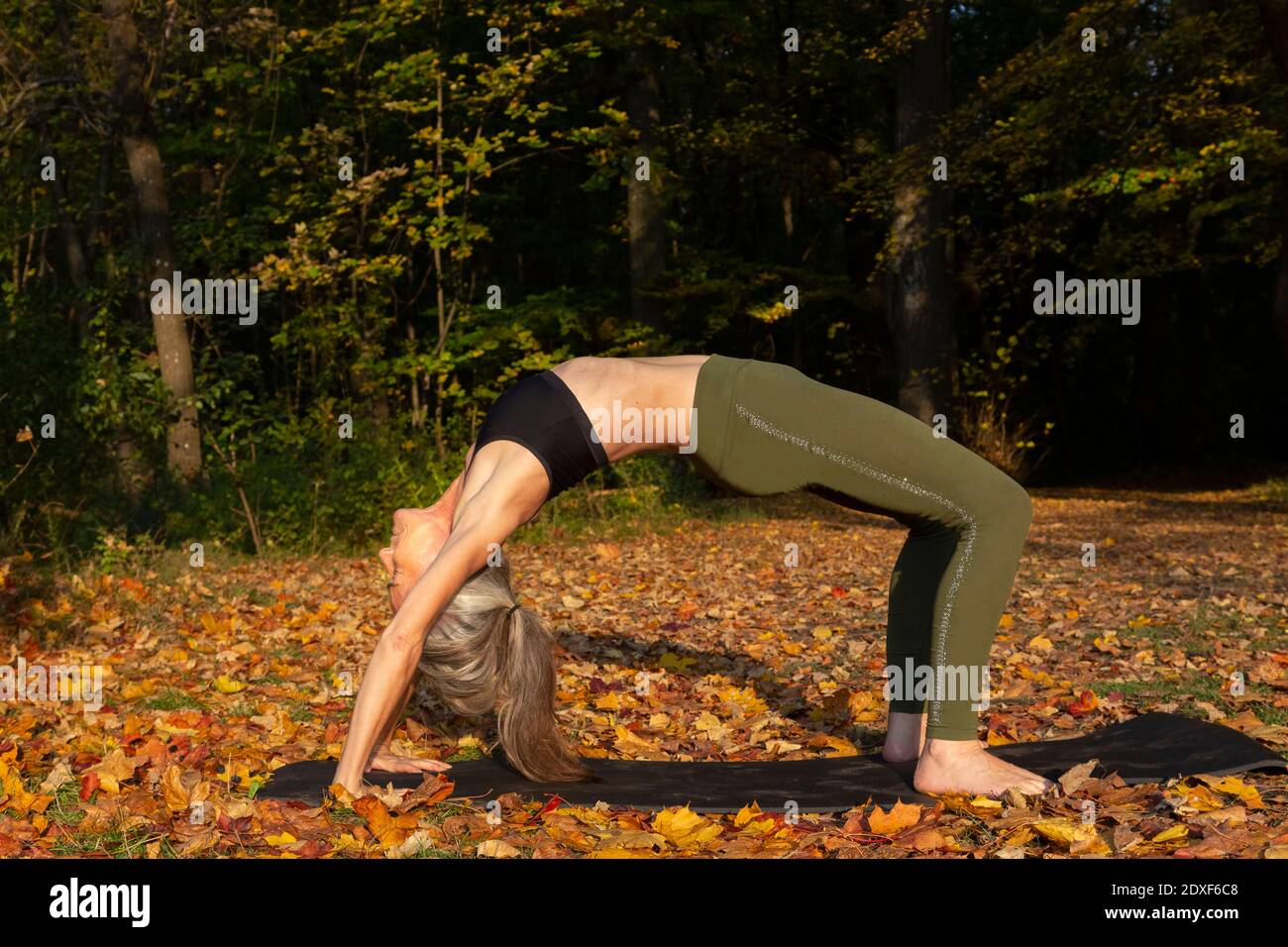 Flexible woman exercising bridge pose at park during autumn Stock Photo